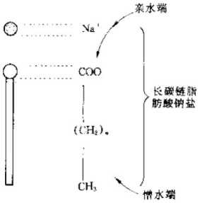 表面活性剂的分子结构