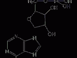 腺苷-5'-单磷酸结构式