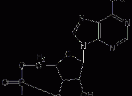 腺苷-3',5'-环状磷酸结构式