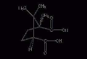 (+)-樟脑酸结构式